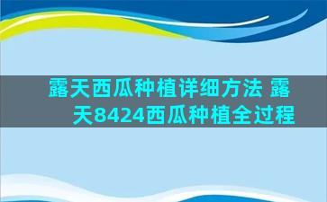 露天西瓜种植详细方法 露天8424西瓜种植全过程